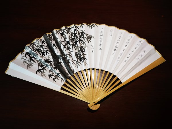 笔绘东坡续千年 扇承文化进机关